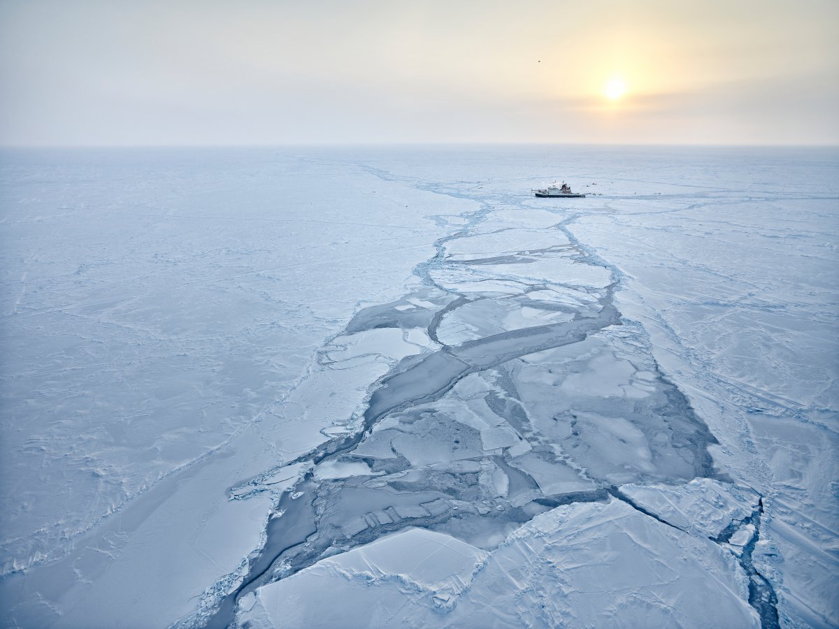 Adrift in Fading Ice