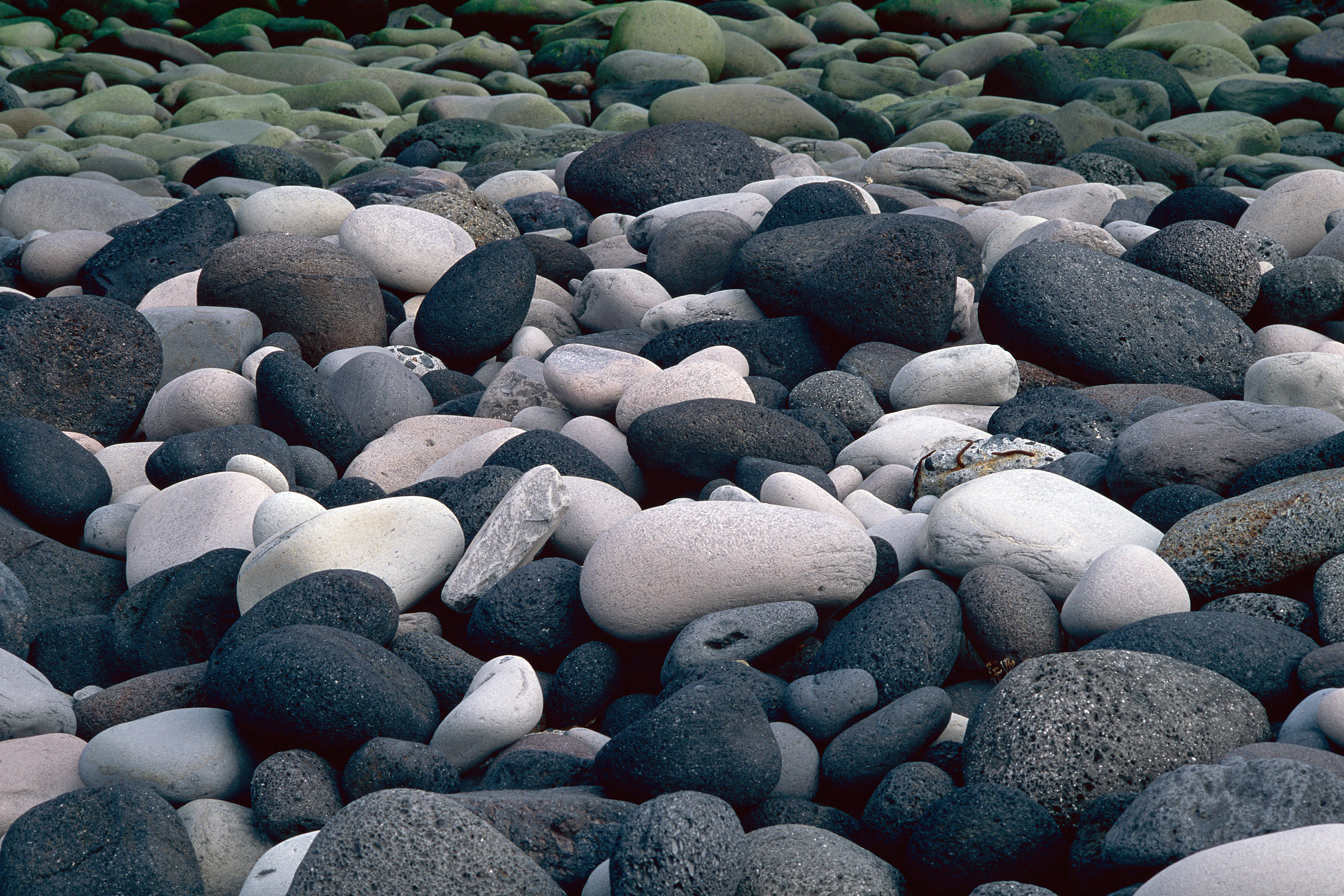 Strand Snaefelness Halbinseln
